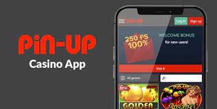 Pin Up Casino Saytının Qiymətləndirilməsi